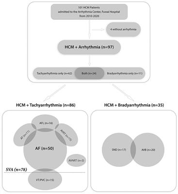 Characteristics and Long-Term Ablation Outcomes of Supraventricular Arrhythmias in Hypertrophic Cardiomyopathy: A 10-Year, Single-Center Experience